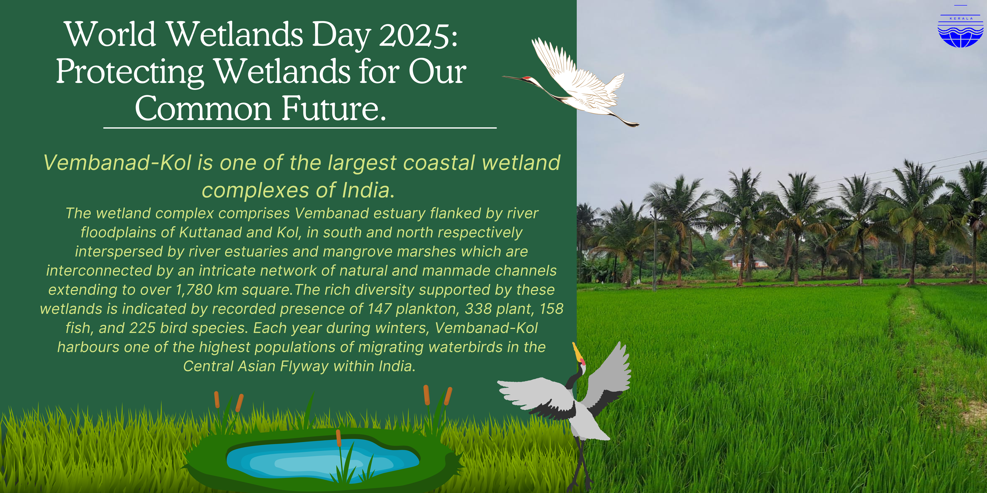 World wetland day 2025